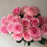 Dolce Avalanche * 20