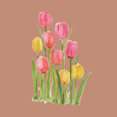 Mystery Box - Premium