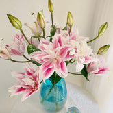 Roselily Isabella * 10