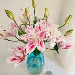 Roselily Isabella * 10