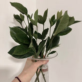 Gardenia Leaf * 250g