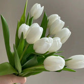 Tulip * 10