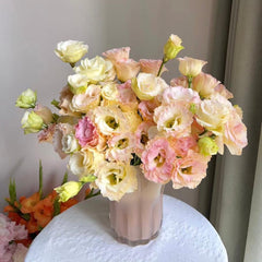 Eustoma * 600g