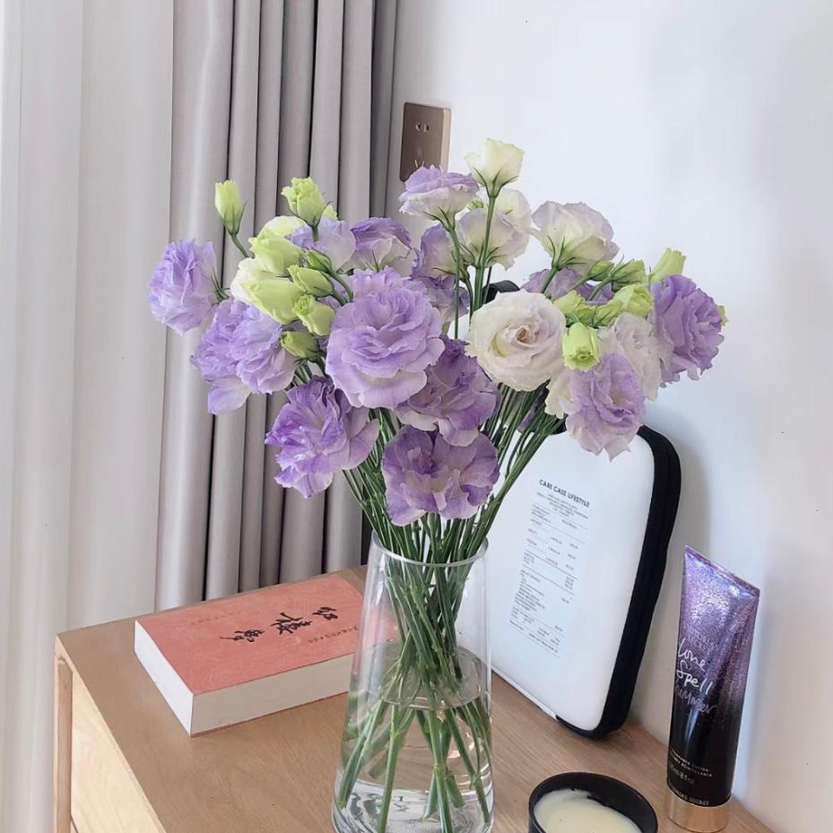 Eustoma * 600g