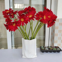 Gerbera Standard * 20