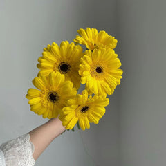 Gerbera Standard * 20