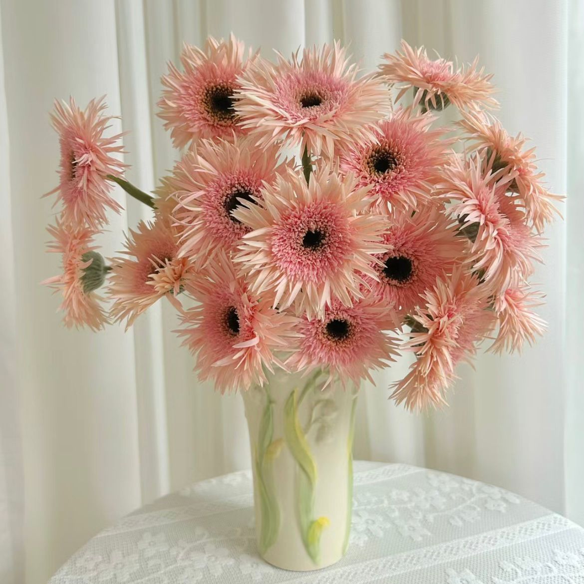 Gerbera Spider * 20