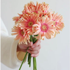 Gerbera Curly * 10