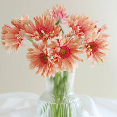 Gerbera Curly * 10