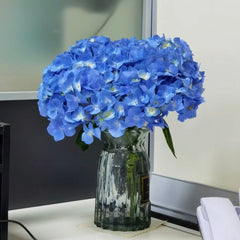 Hydrangea * 1