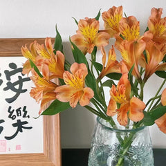 Alstroemeria * 10