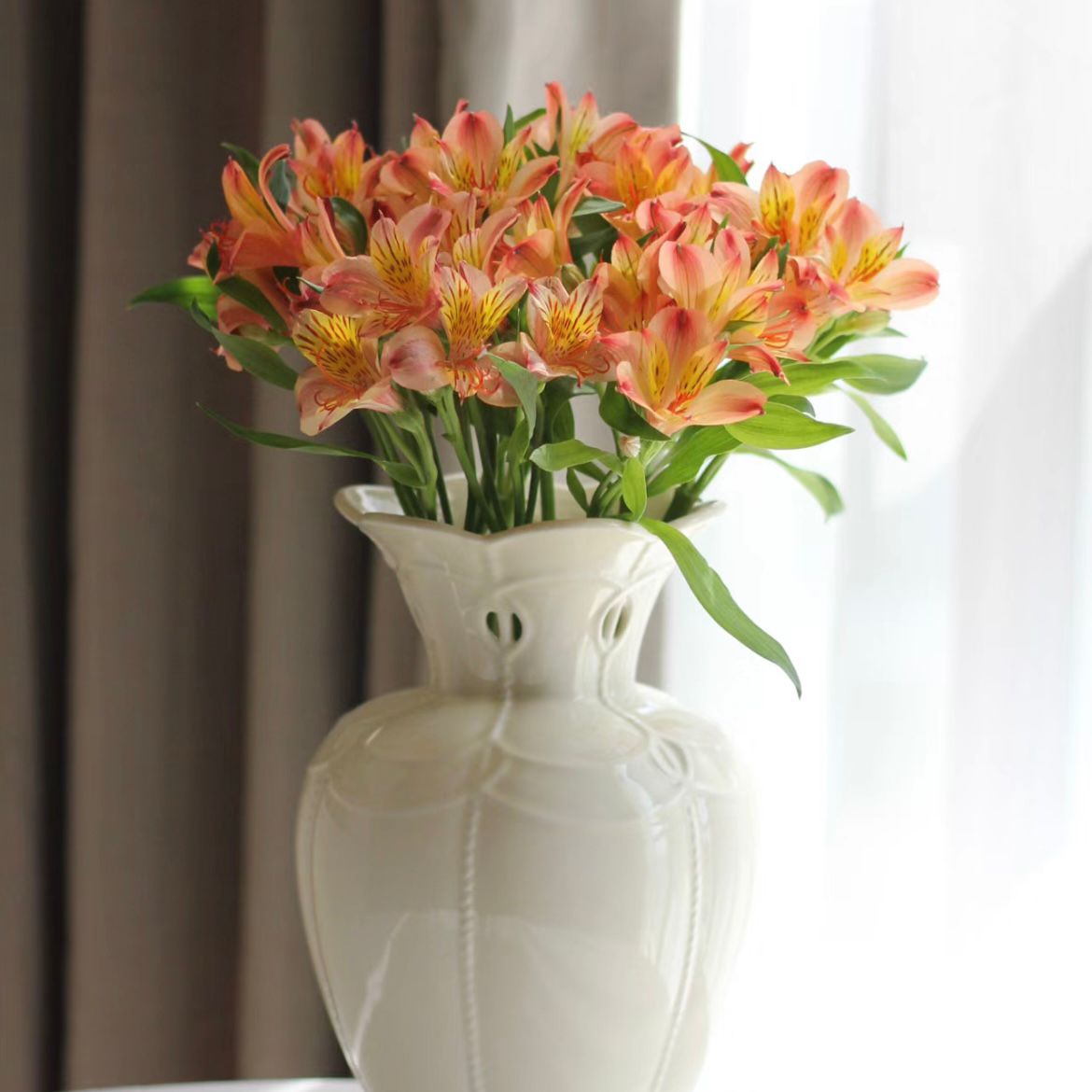 Alstroemeria * 10