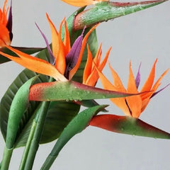 Bird of paradise flower * 1