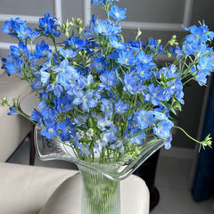 Delphinium (Small)