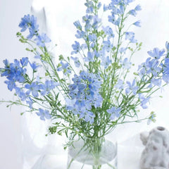 Delphinium (Small)