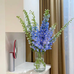 Delphinium * 5