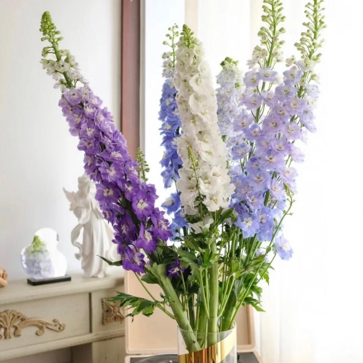 Delphinium Random Color * 5