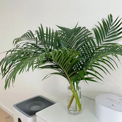 Bamboo Palm * 10