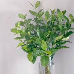 Gardenia Leaf * 250g