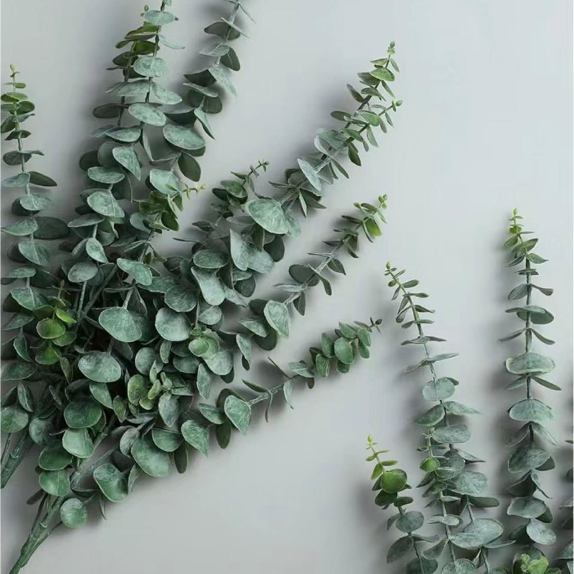 Baby Blue Eucalyptus (Big Leaves) * 800g