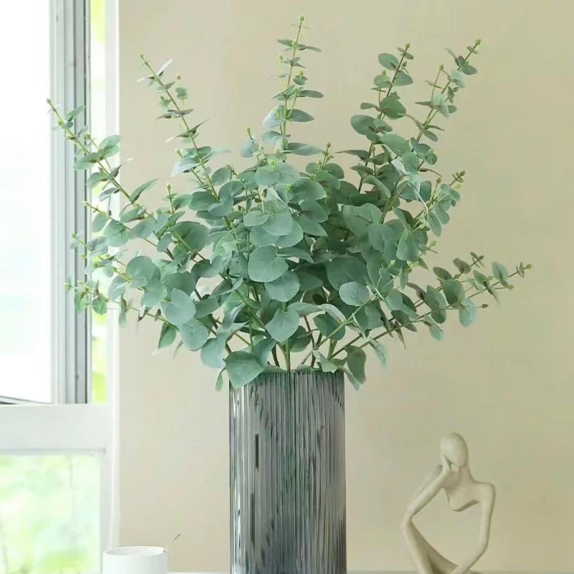 Baby Blue Eucalyptus (Big Leaves) * 800g