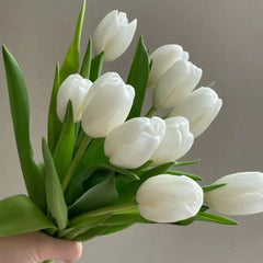 Tulip * 10