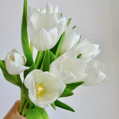 Tulip * 10