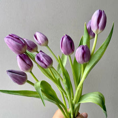 Tulip * 10