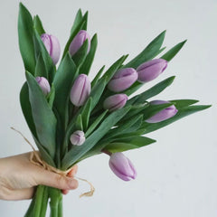 Tulip * 10