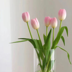 Tulip * 10