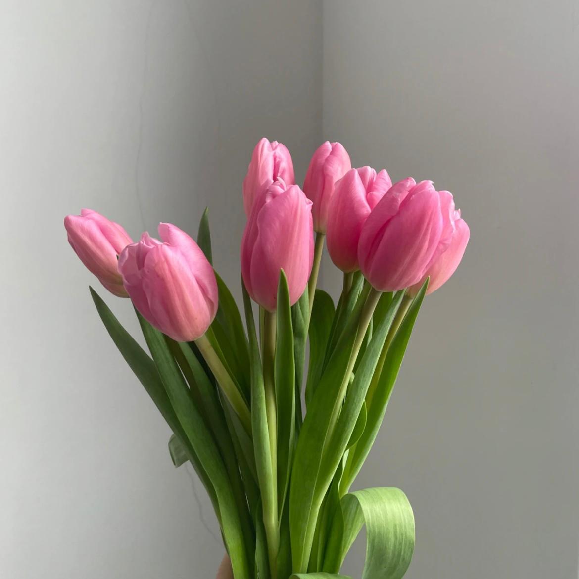 Tulip * 10