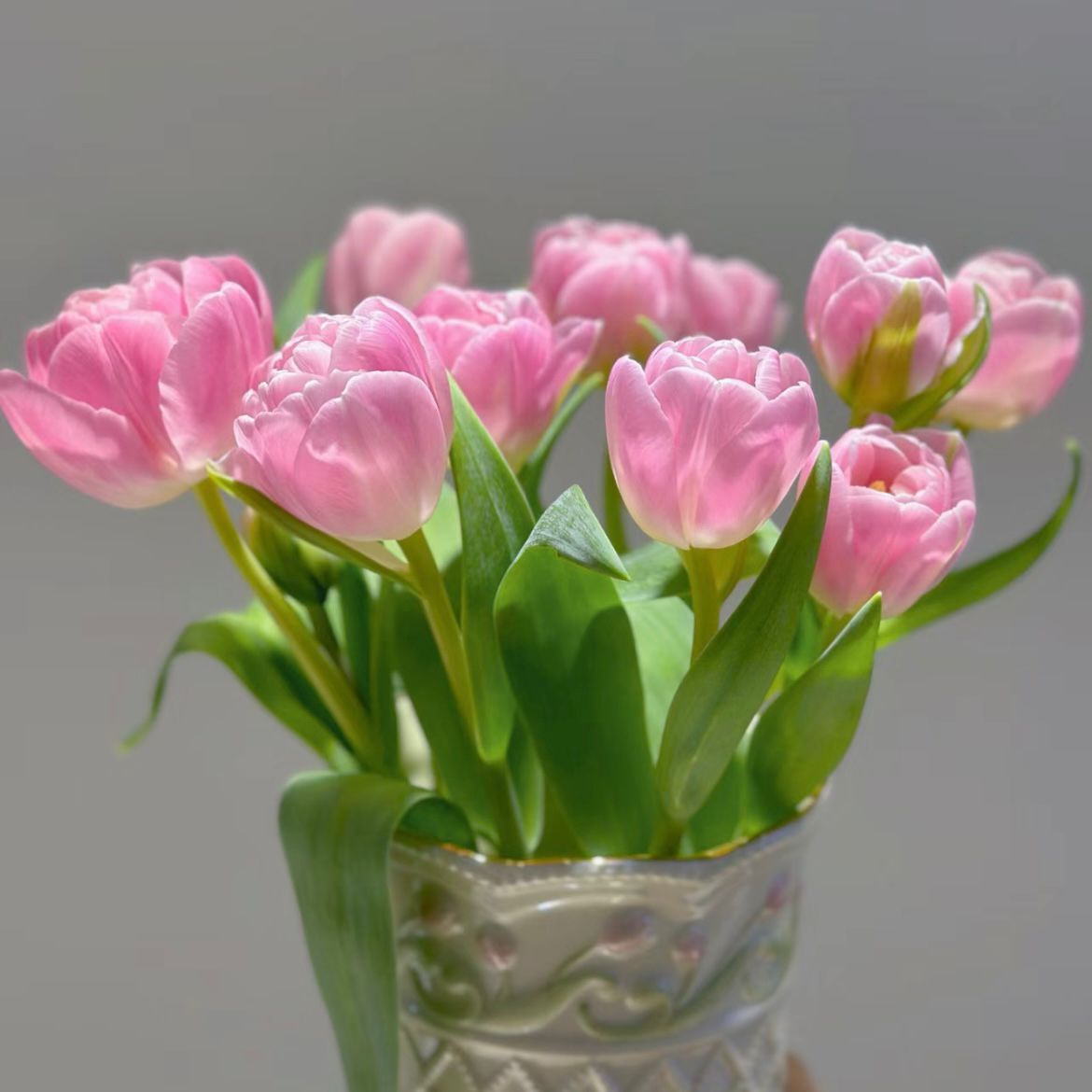 Double Tulip * 10