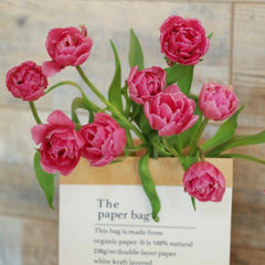 Double Tulip * 10