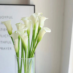 Calla Lilies * 10