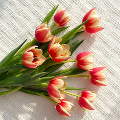 Tulip * 10