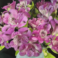 Alstroemeria * 10